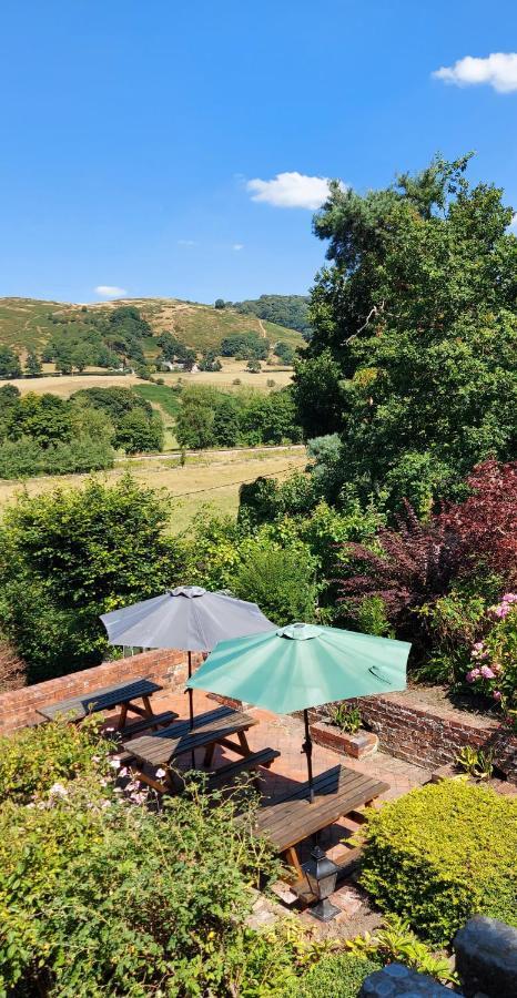 Bron-Y-Graig Hotel Corwen Luaran gambar