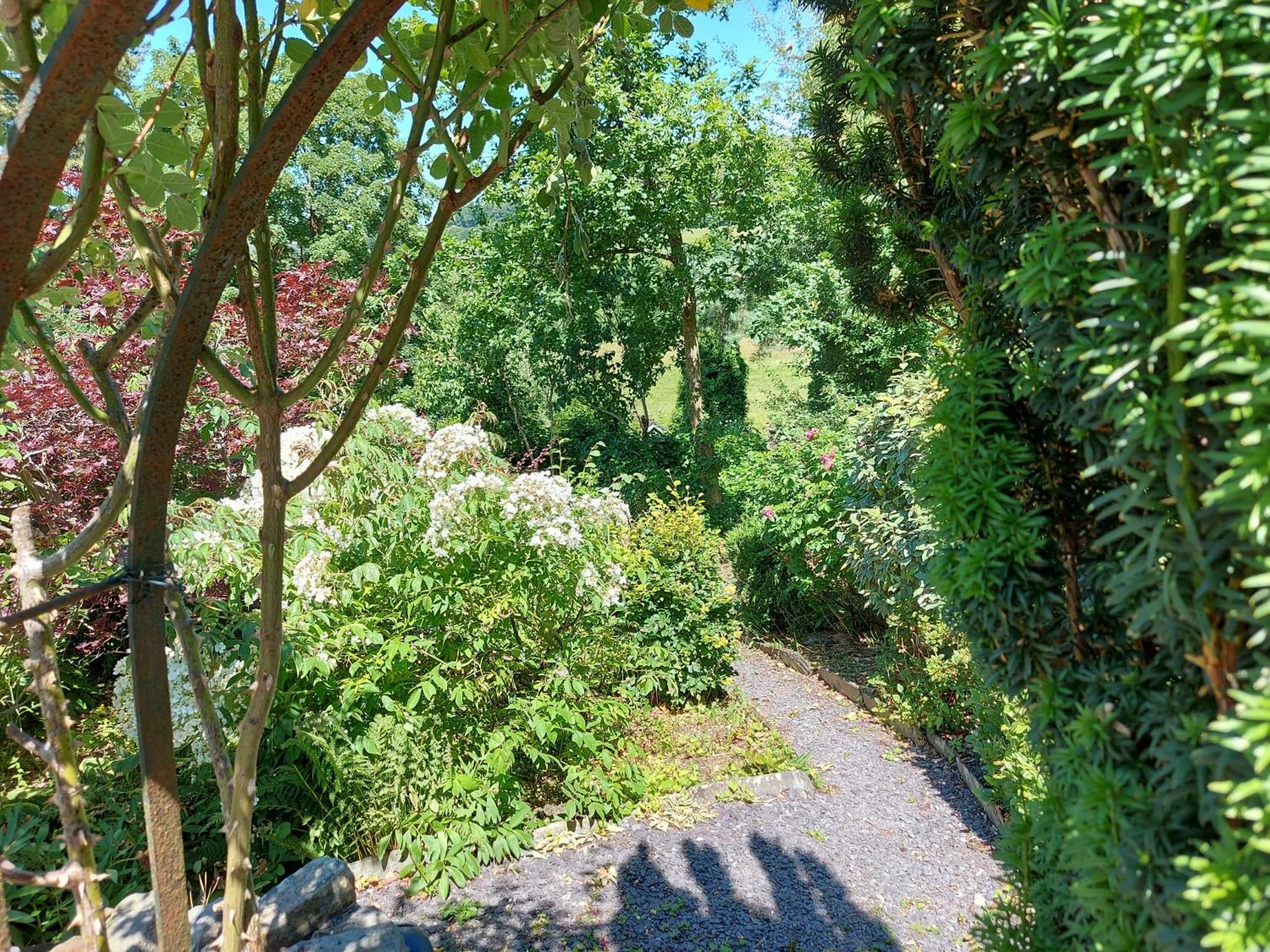 Bron-Y-Graig Hotel Corwen Luaran gambar